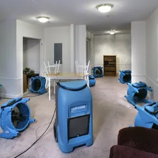 Dehumidifier and fans