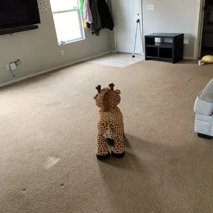 Had the whole living room before picture.