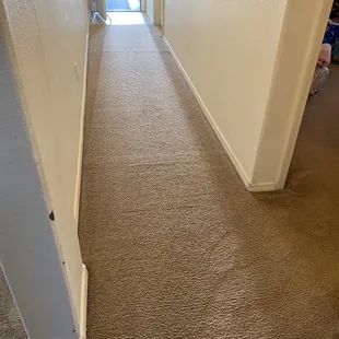 After carpet. ABQ carpet care is superior than national chains! Vastly improved carpet and way better bargain.