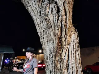 AbqTours
