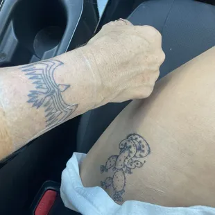 Rattlesnake wrapped around prickly pear cactus. Mother daughter date before leaving New Mexico