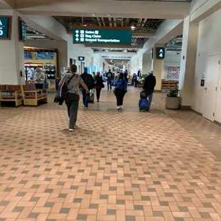 Meandering the terminal.