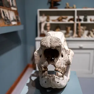 Albuquerque Museum