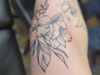 Rabbit Hole Tattoo Studio