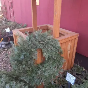 BEAUTIFUL FULL PINEY NM WREATHS.  TRUE CiRCLES OF FRIENDSHIP, LIFE &amp; LOVE!