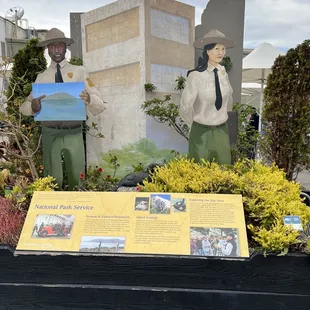 Background Information