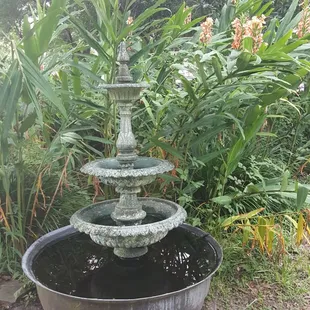Water features and tropical plants are all around.