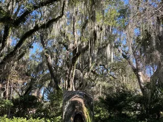 City Park 