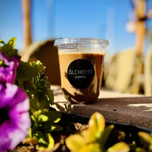 Maple Taro Latte with oat milk