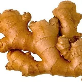 Irish Elder