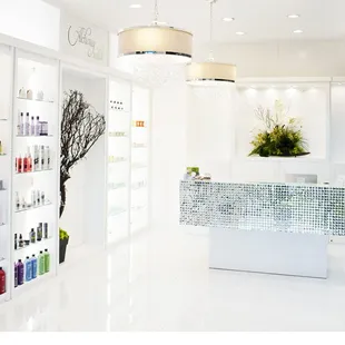 We carry Redken, Pueology and Davines haircare lines.
