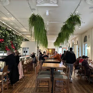 Inside - plant lovers paradise