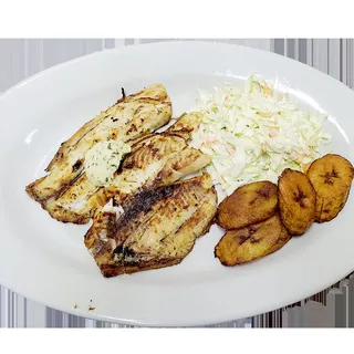 Tilapia Fillet