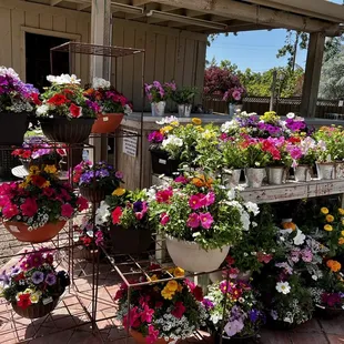 Fantastic selection of flowers for Mother's Day