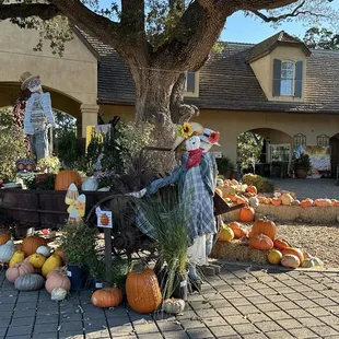 Day of fall festival in Oct