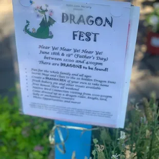 Dragon Fest