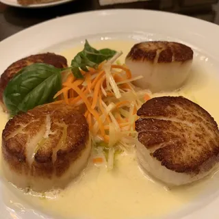 Diver Scallops*