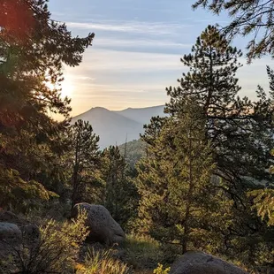 Instagram: @telephonesmoothie