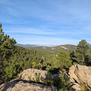 Instagram: @telephonesmoothie