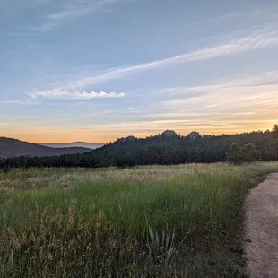 Instagram: @telephonesmoothie