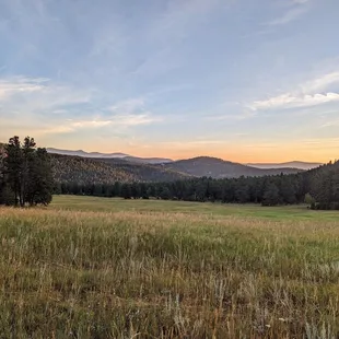 Instagram: @telephonesmoothie