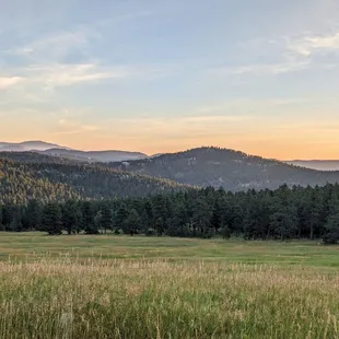 Instagram: @telephonesmoothie