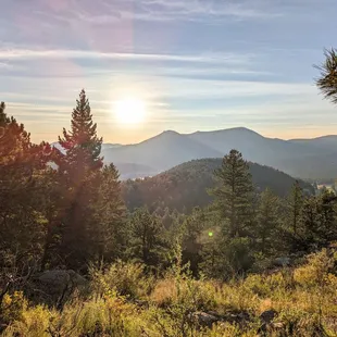 Instagram: @telephonesmoothie