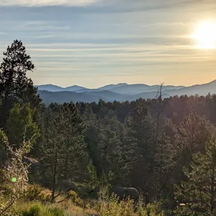 Instagram: @telephonesmoothie