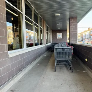 Carts are brand new!