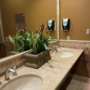 interior, sushi and sashimi