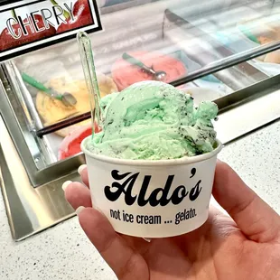 Medium Mint Chocolate + Cookies underneath