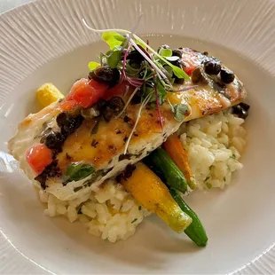 Halibut