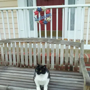 Boston, the "Greeter," says "Welcome!"