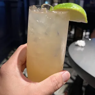 Grapefruit Spritzer ADD Vodka!