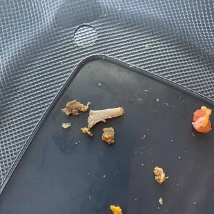 Chicken bones