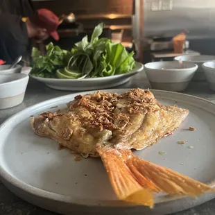 Snapper
