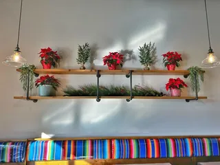 La Mixteca Tamale House