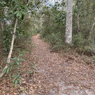 Lots of different paths