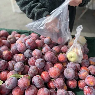 Pick your pluots!