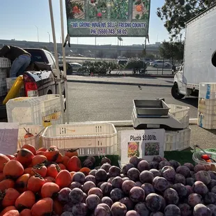 Delicious pluots from Lopez Family Farm.