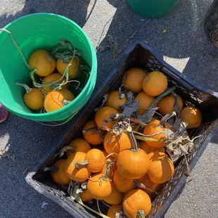  oranges in buckets
