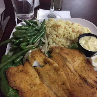 Tilapia