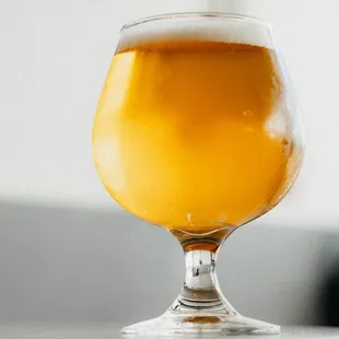 a glass of beer
