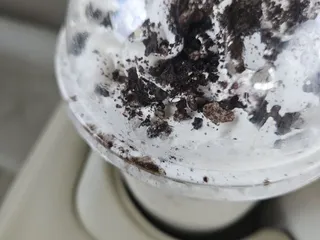 Belly Acres - Regalia