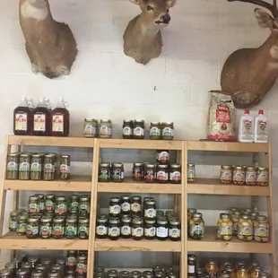 deer heads and jars