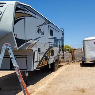 Alexander detail bug removal w/wash wax