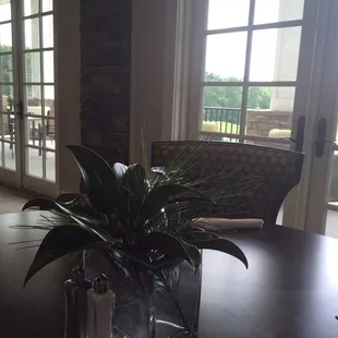 View of the Golf Course and outside from my table.