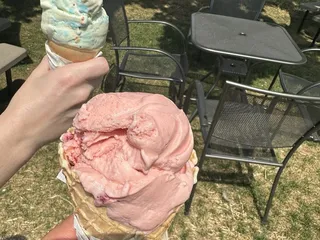 Alexander's on the Square- Cicero