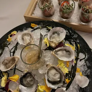 Oysters and Hamachi Shot Kit