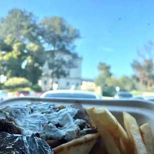 Gyro Meal with fries